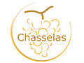 Chasselas le roi des cépages
