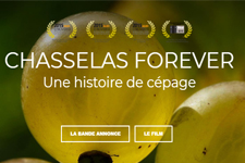 CHASSELAS FOREVER